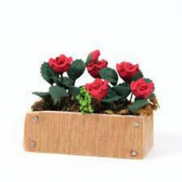 Roses Window Box
