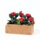 Roses Window Box
