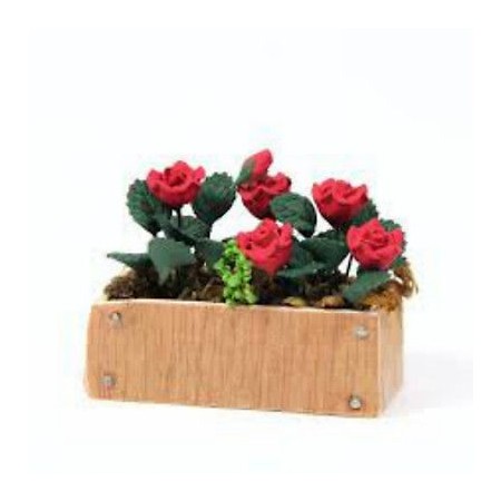 Roses Window Box