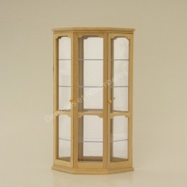 Display Case