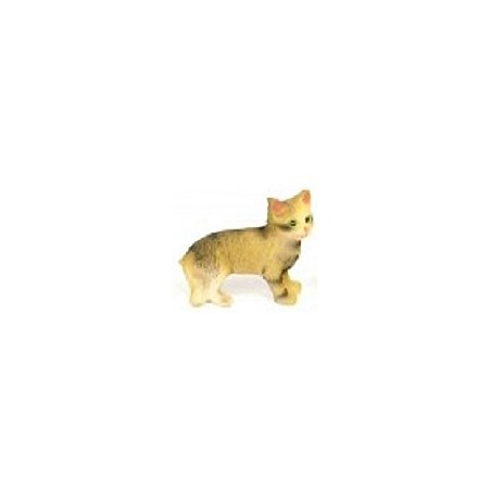 Chat tigr&eacute; gris