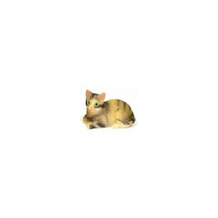 Chat tigr&eacute; gris