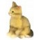 Chat tigré gris