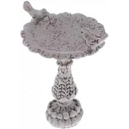 Bird Bath