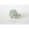 Gypsophila Paniculata