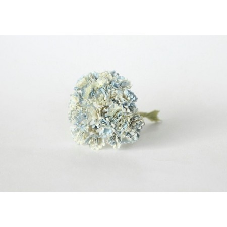 Gypsophila Paniculata