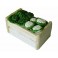 Choux verts et choux-fleurs