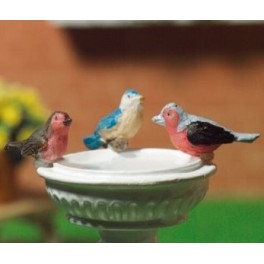 Birds