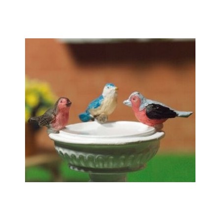 Birds